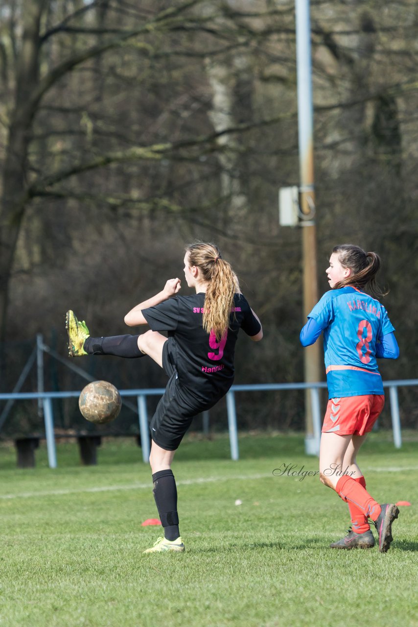 Bild 187 - C-Juniorinnen SV Steinhorst/Labenz - TSV Friedrichsberg-Busdorf : Ergebnis: 5:0